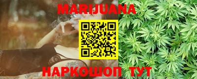 крисы Новодвинск
