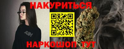 крисы Новодвинск