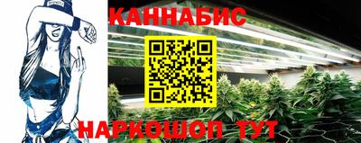 крисы Новодвинск