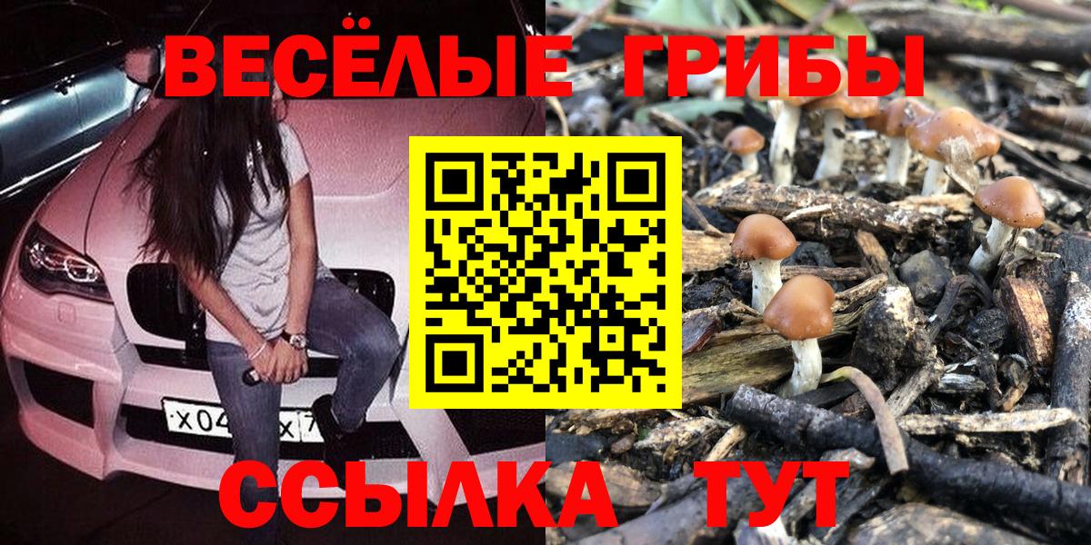 Псилоцибиновые грибы Psilocybe Шелехов