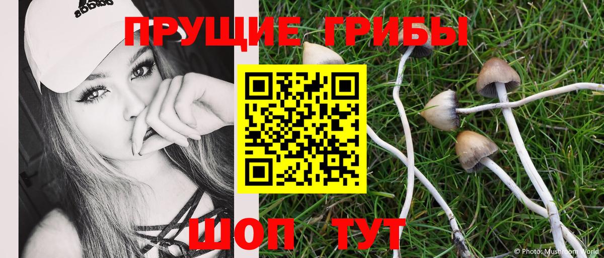 Галлюциногенные грибы Psilocybine cubensis  Вход с VPN  Галлюциногенные грибы Cubensis  как найти закладки  Шелехов 